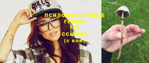 эйфоретик Абаза